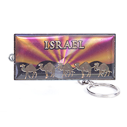 Camels Shiny Key Chains