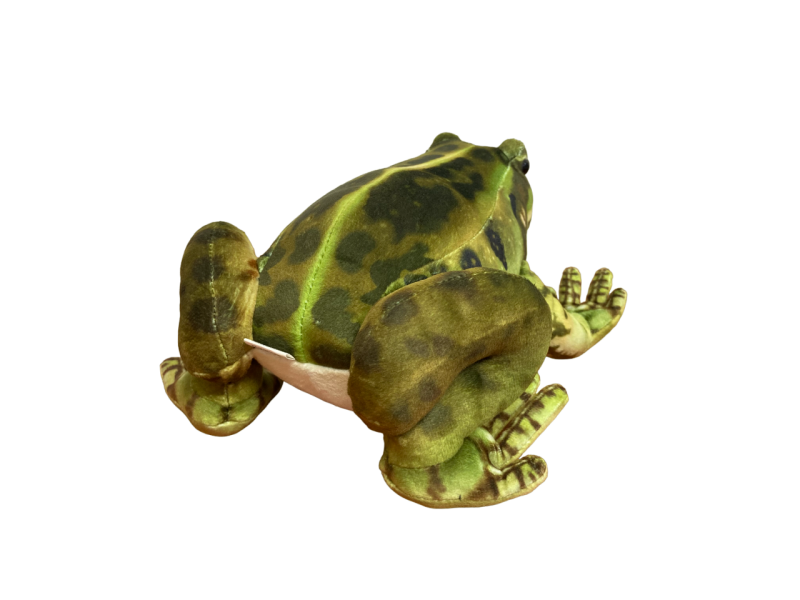 Frog Plush - Image 3