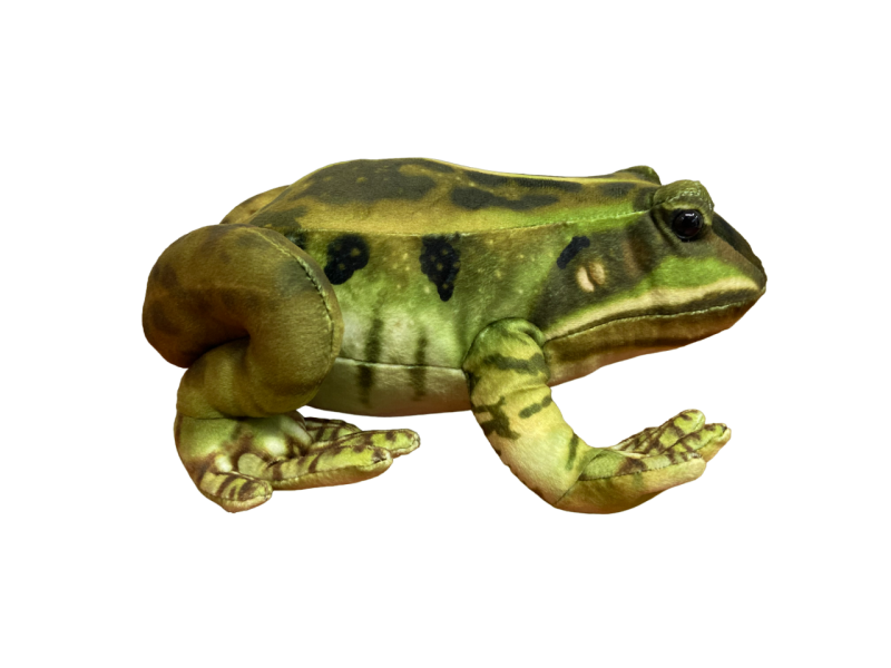 Frog Plush - Image 4