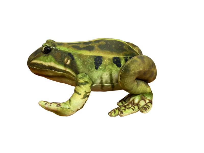 Frog Plush - Image 2