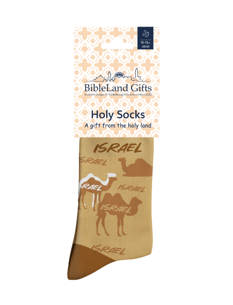 Holy Socks - Israel Camels